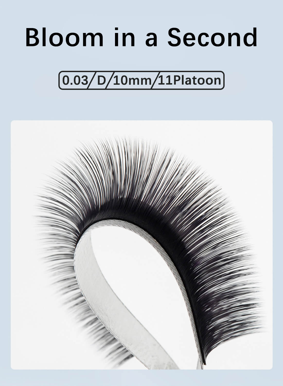 L&wen Auto Fans Fake False Eyelashes for Extension Grafting