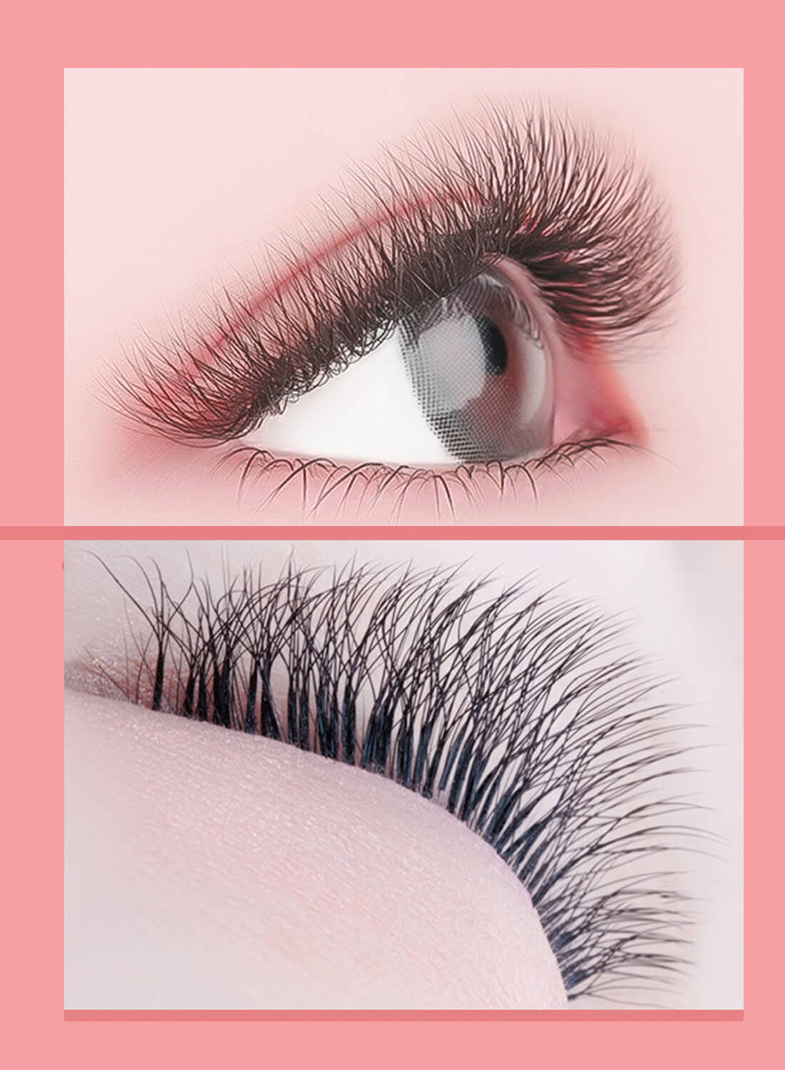 L&wen Auto Fans Fake False Eyelashes for Extension Grafting