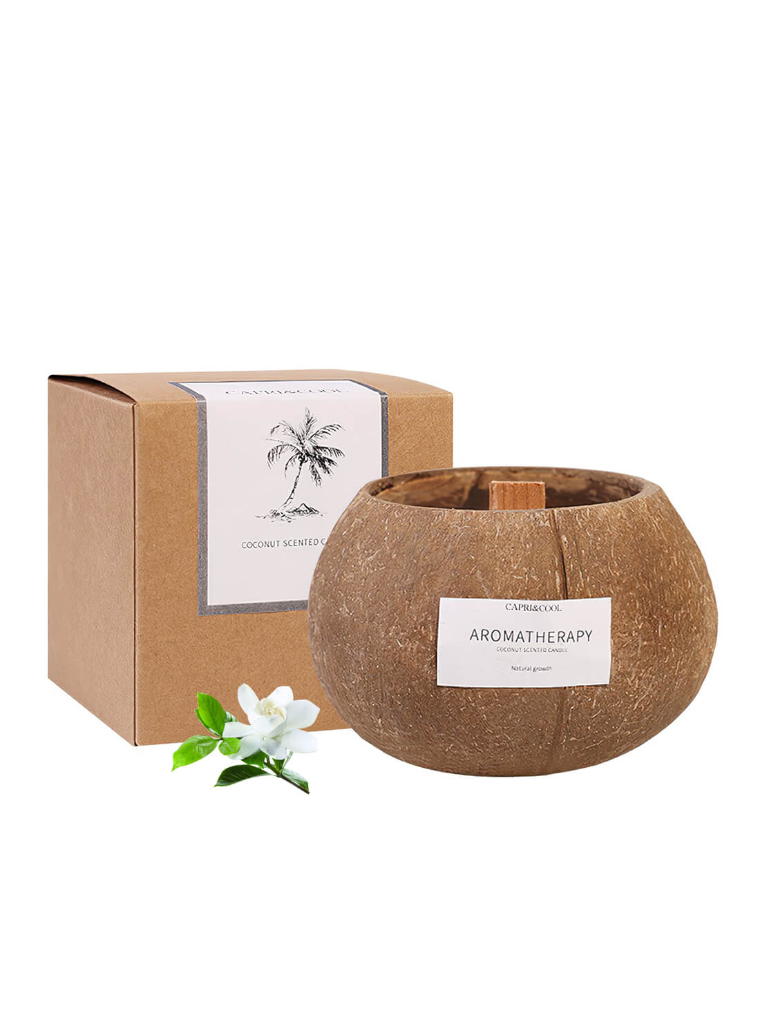 Scented Soy Coconut Shell Candles 200g